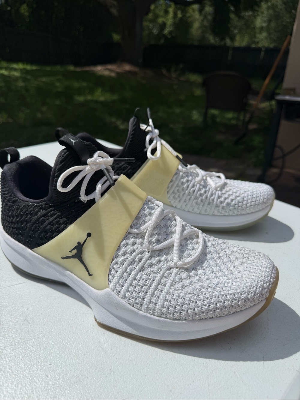 Air Jordan Trainer 2 Flyknit Men’s 12
